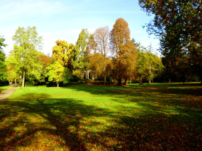 Im Park Bad Eilsen  (Bild vergr&ouml;&szlig;ern)