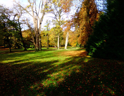 Im Park Bad Eilsen  (Bild vergr&ouml;&szlig;ern)