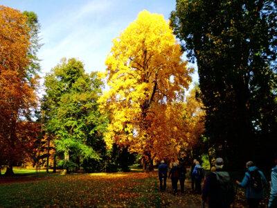 Im Park Bad Eilsen  (Bild vergr&ouml;&szlig;ern)