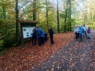 Infotafel am Ruheforst  (Bild vergr&ouml;&szlig;ern)