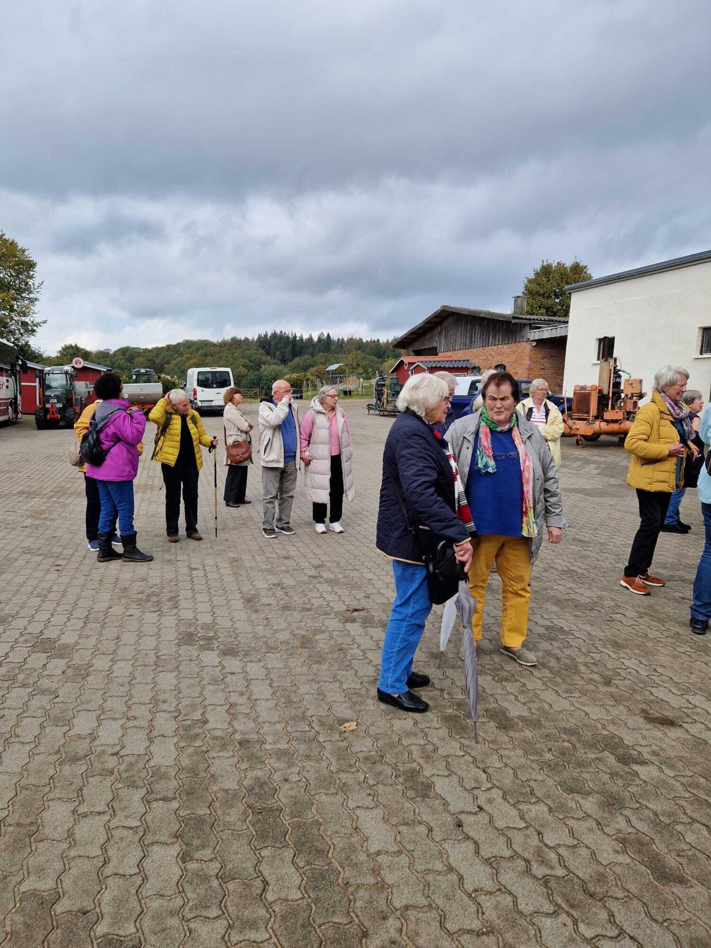 Bild der Galerie