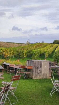 Foto des Albums: Obst- und Weingut Ingenhof