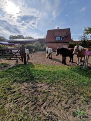 Foto des Albums: Obst- und Weingut Ingenhof