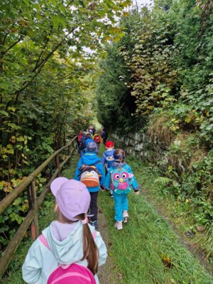 Foto des Albums: Naturpark-Modul Wald Klasse 1a & 1b im SJ 2024/2025