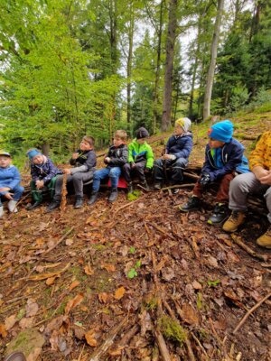 Foto des Albums: Naturpark-Modul Wald Klasse 1a & 1b im SJ 2024/2025