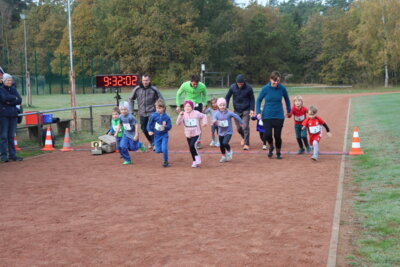 Foto des Albums: Parkcrosslauf 2024