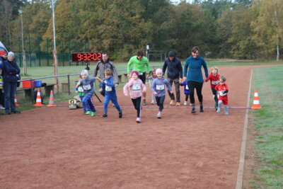 Foto des Albums: Parkcrosslauf 2024