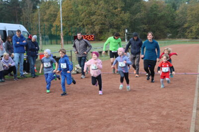 Foto des Albums: Parkcrosslauf 2024