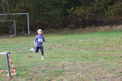 Foto des Albums: Parkcrosslauf 2024