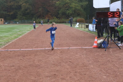 Foto des Albums: Parkcrosslauf 2024