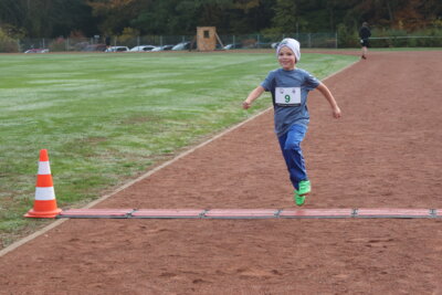 Foto des Albums: Parkcrosslauf 2024