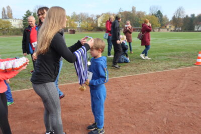 Foto des Albums: Parkcrosslauf 2024