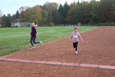 Foto des Albums: Parkcrosslauf 2024