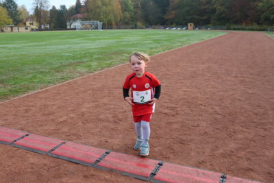 Foto des Albums: Parkcrosslauf 2024