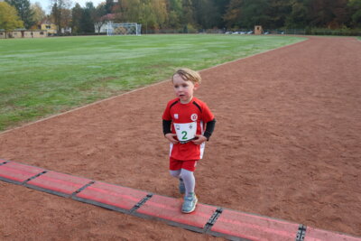 Foto des Albums: Parkcrosslauf 2024