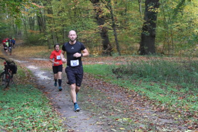 Foto des Albums: Parkcrosslauf 2024