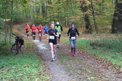 Foto des Albums: Parkcrosslauf 2024