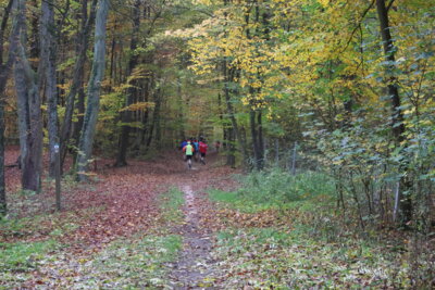 Foto des Albums: Parkcrosslauf 2024