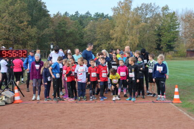 Foto des Albums: Parkcrosslauf 2024