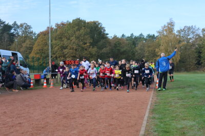 Foto des Albums: Parkcrosslauf 2024