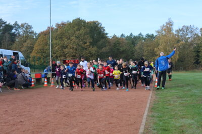 Foto des Albums: Parkcrosslauf 2024