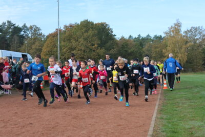 Foto des Albums: Parkcrosslauf 2024