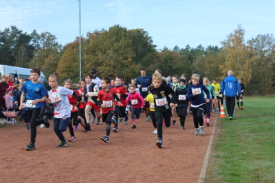 Foto des Albums: Parkcrosslauf 2024