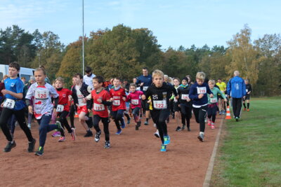 Foto des Albums: Parkcrosslauf 2024