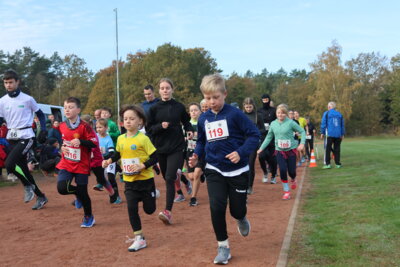 Foto des Albums: Parkcrosslauf 2024