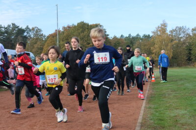 Foto des Albums: Parkcrosslauf 2024
