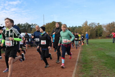 Foto des Albums: Parkcrosslauf 2024
