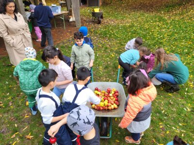 Foto des Albums: RUZ Apfel 1ab 2024