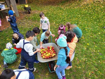 Foto des Albums: RUZ Apfel 1ab 2024