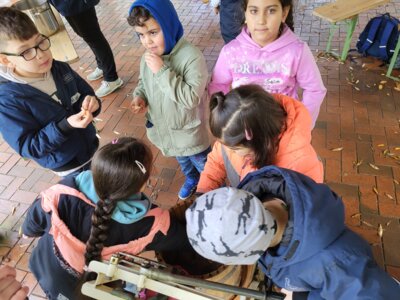 Foto des Albums: RUZ Apfel 1ab 2024