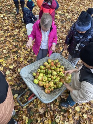 Foto des Albums: RUZ Apfel 1ab 2024