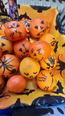 Foto des Albums: Halloween 2024
