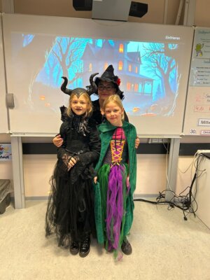 Foto des Albums: Halloween 2024