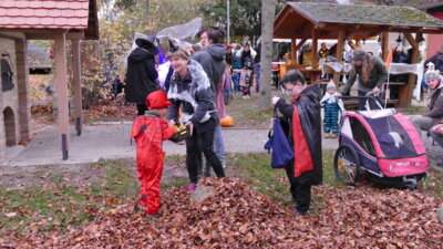 Foto des Albums: Halloween 2024 (31.10.2024)