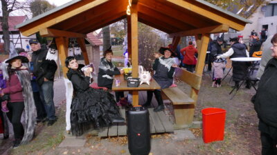 Foto des Albums: Halloween 2024 (31.10.2024)