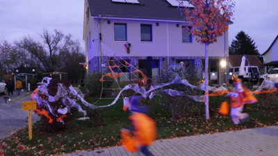 Foto des Albums: Halloween 2024 (31.10.2024)