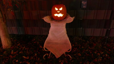 Foto des Albums: Halloween 2024 (31.10.2024)