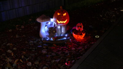 Foto des Albums: Halloween 2024 (31.10.2024)