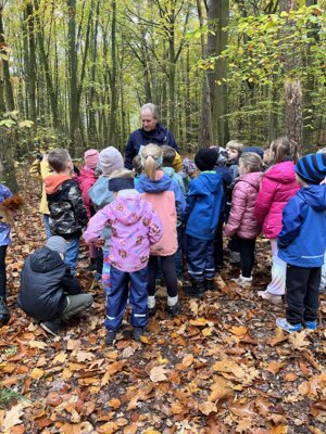 Foto des Albums: Herbstexkursion Klasse 1a und 1b