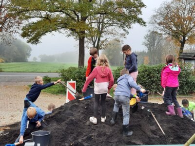 Foto des Albums: Monatsbilder Oktober