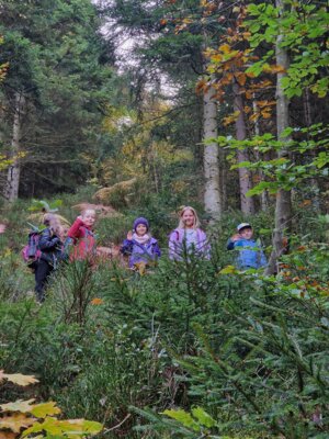 Foto des Albums: Wandertag 2024 an der Wilhelmschule