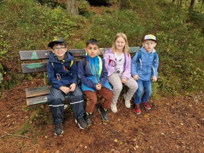 Foto des Albums: Wandertag 2024 an der Wilhelmschule