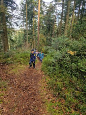 Foto des Albums: Wandertag 2024 an der Wilhelmschule