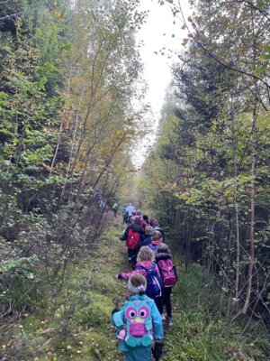 Foto des Albums: Wandertag 2024 an der Wilhelmschule