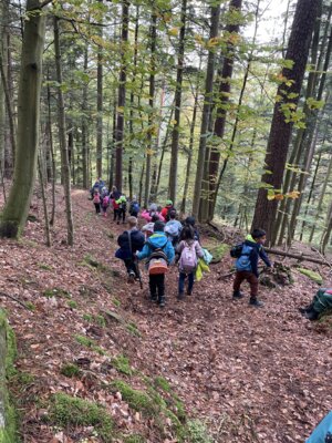 Foto des Albums: Wandertag 2024 an der Wilhelmschule