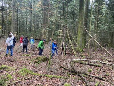 Foto des Albums: Wandertag 2024 an der Wilhelmschule